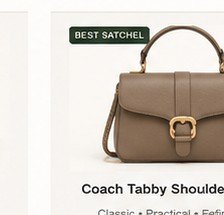 Classic Shoulder Bag